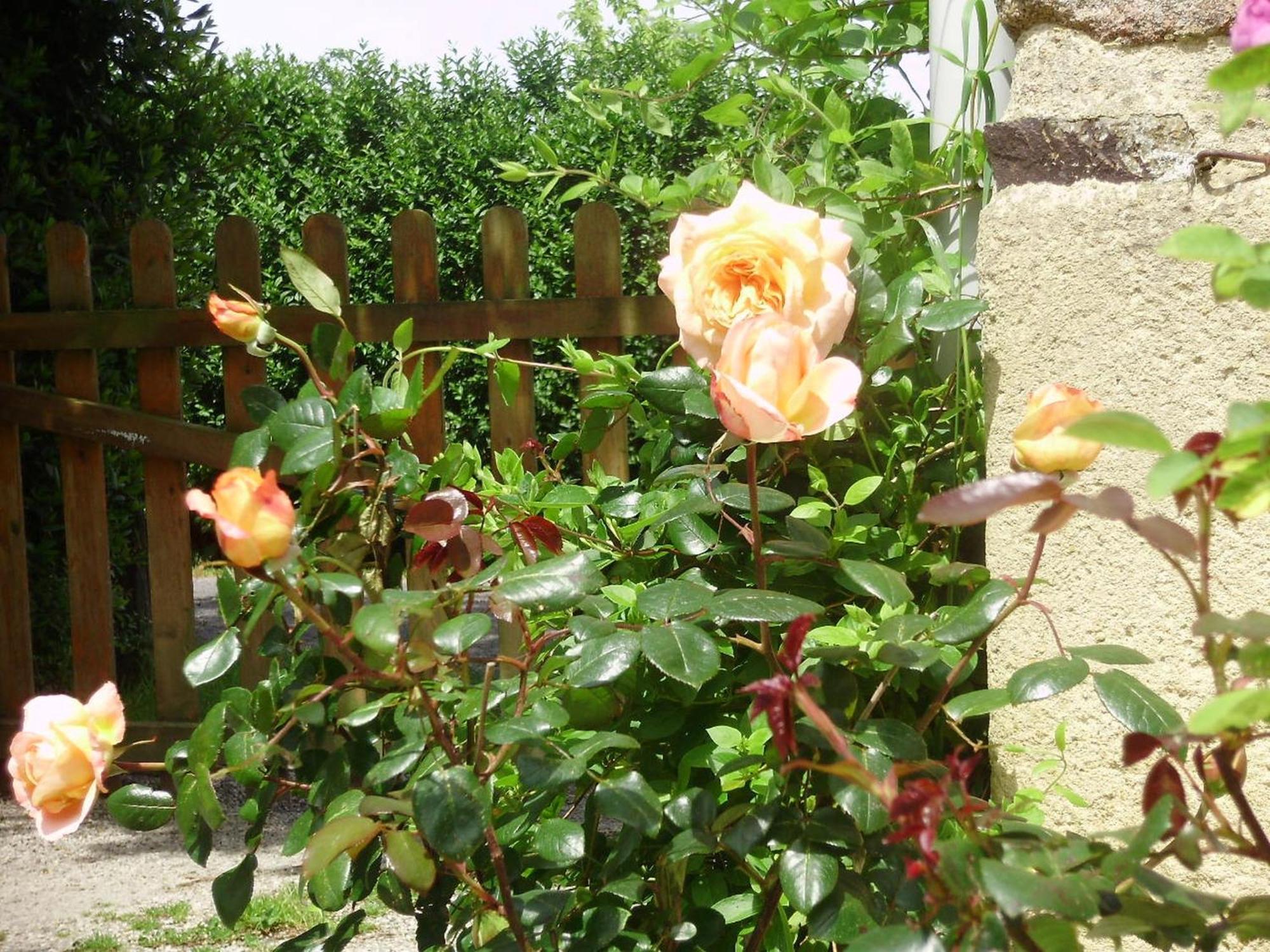 La Bastide Du Moulin - Mont St Michel Bed & Breakfast Moidrey Room photo